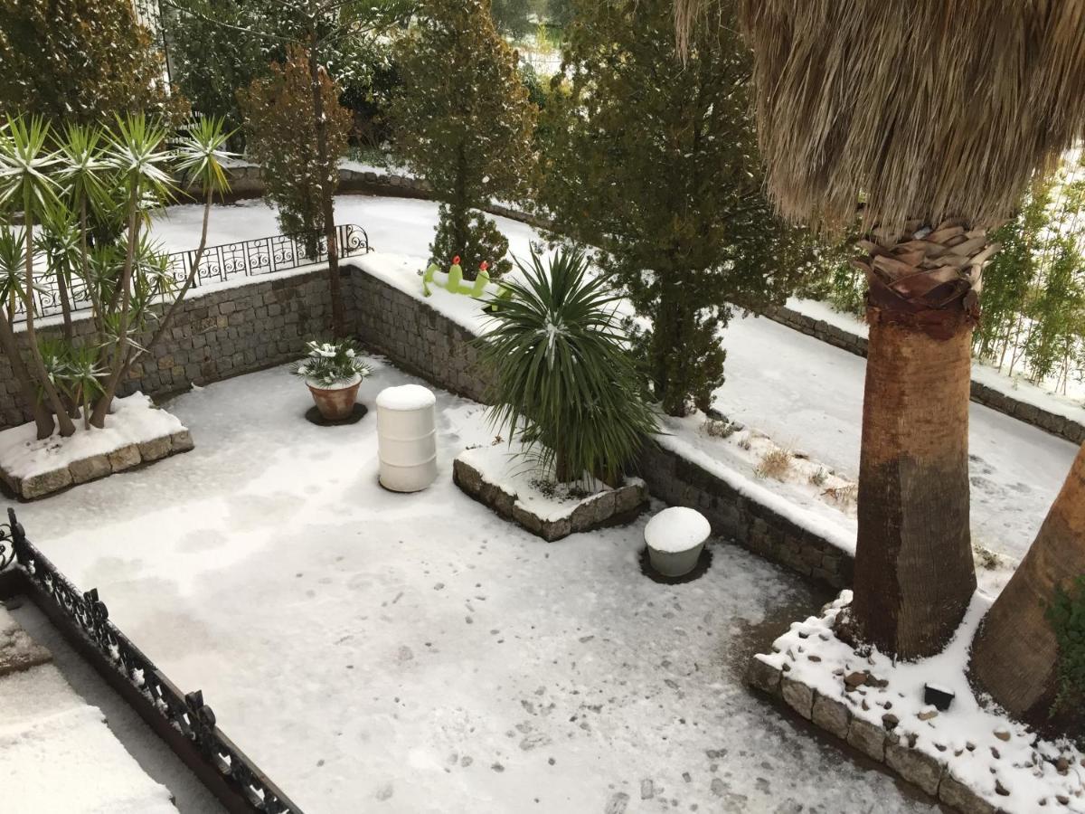 Villa Calcerame Montelepre Eksteriør bilde